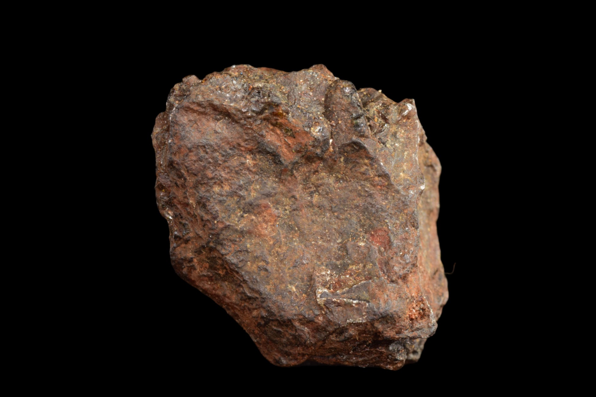 NWA 15971 Pallasite PMG 4.38 G.