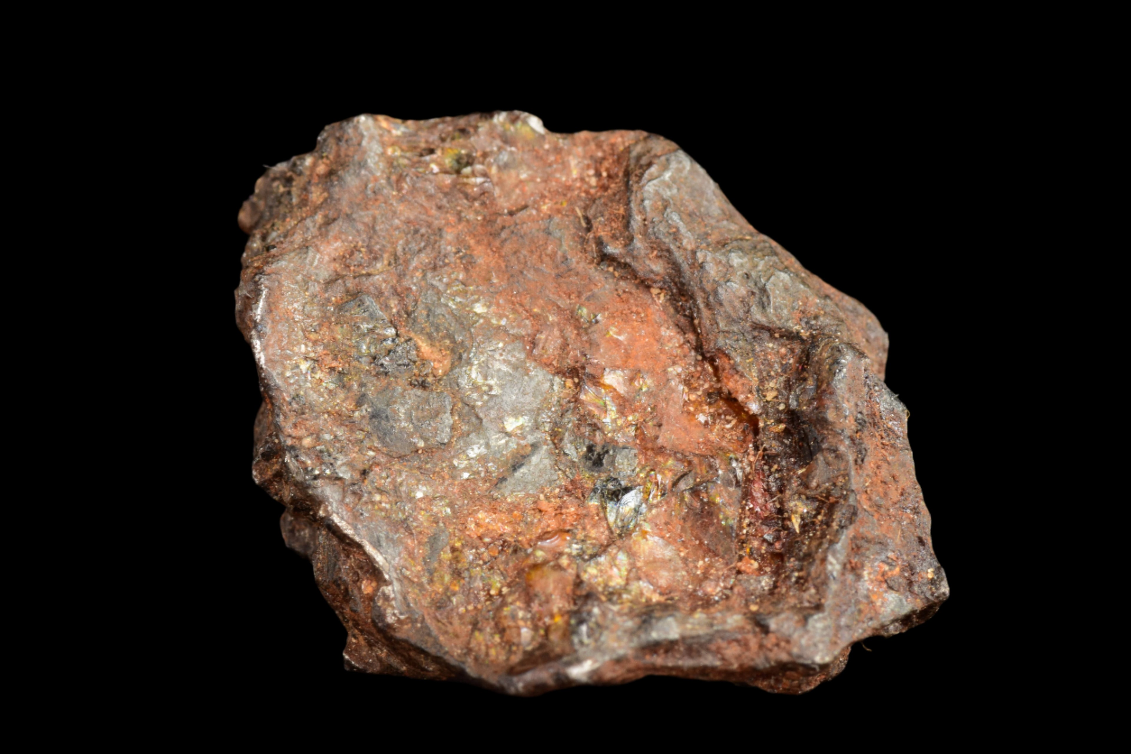 NWA 15971 Pallasite Meteorite