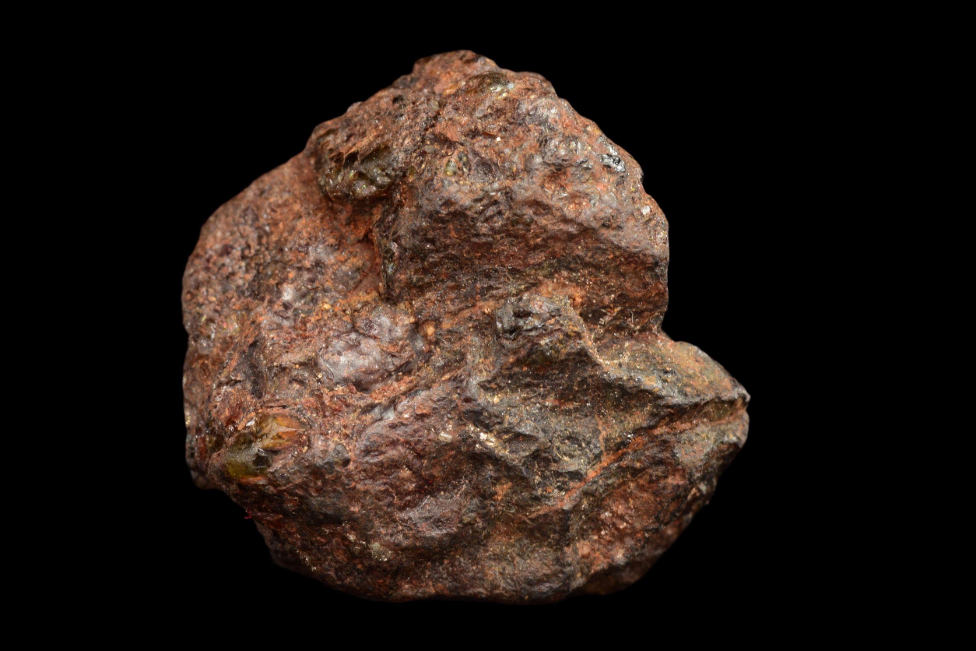 NWA 15971 – Pallasite Meteorite