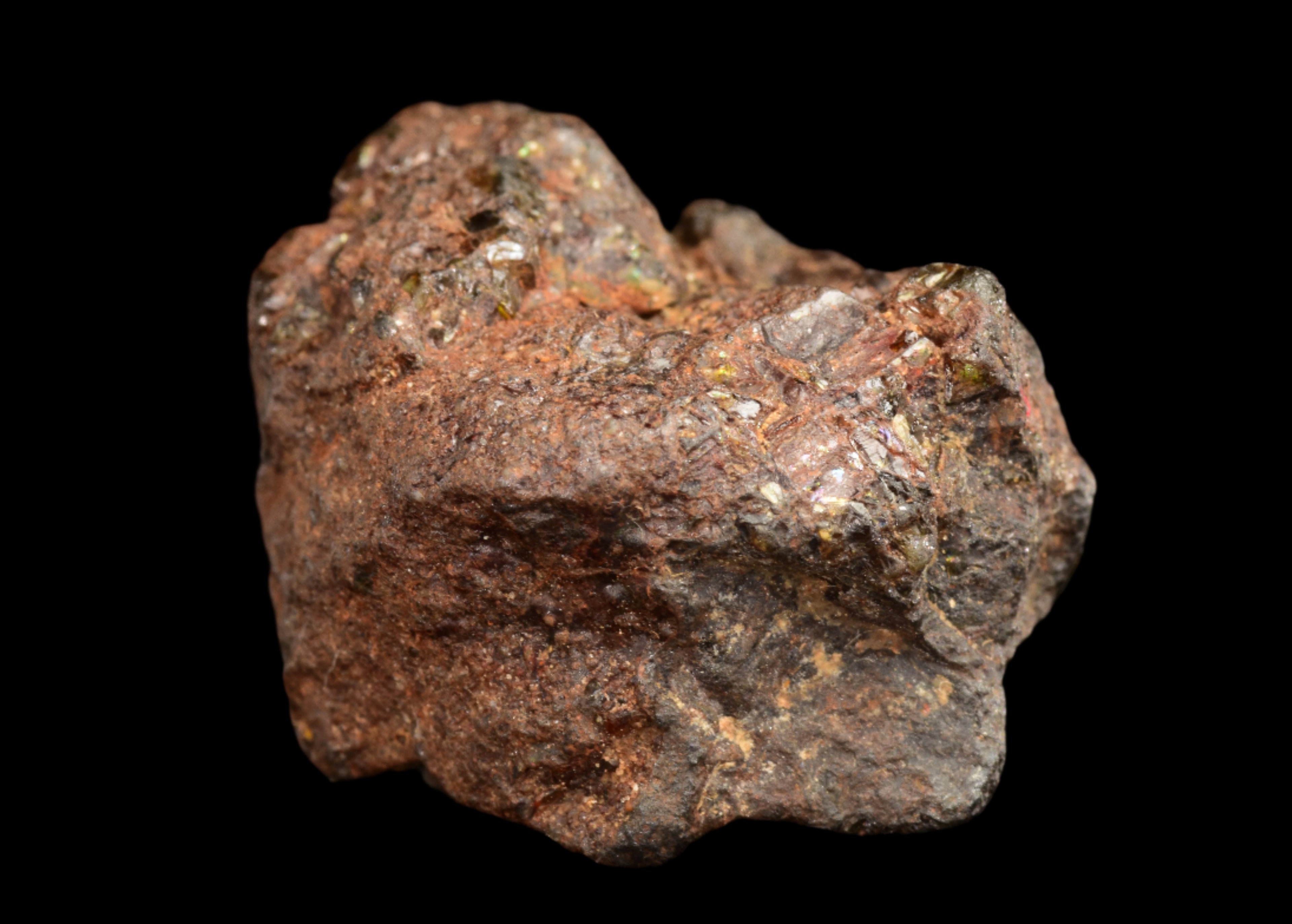 NWA 15971 – Pallasite Meteorite