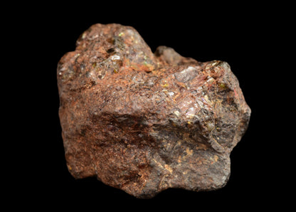 NWA 15971 Pallasite PMG 7.80 G.