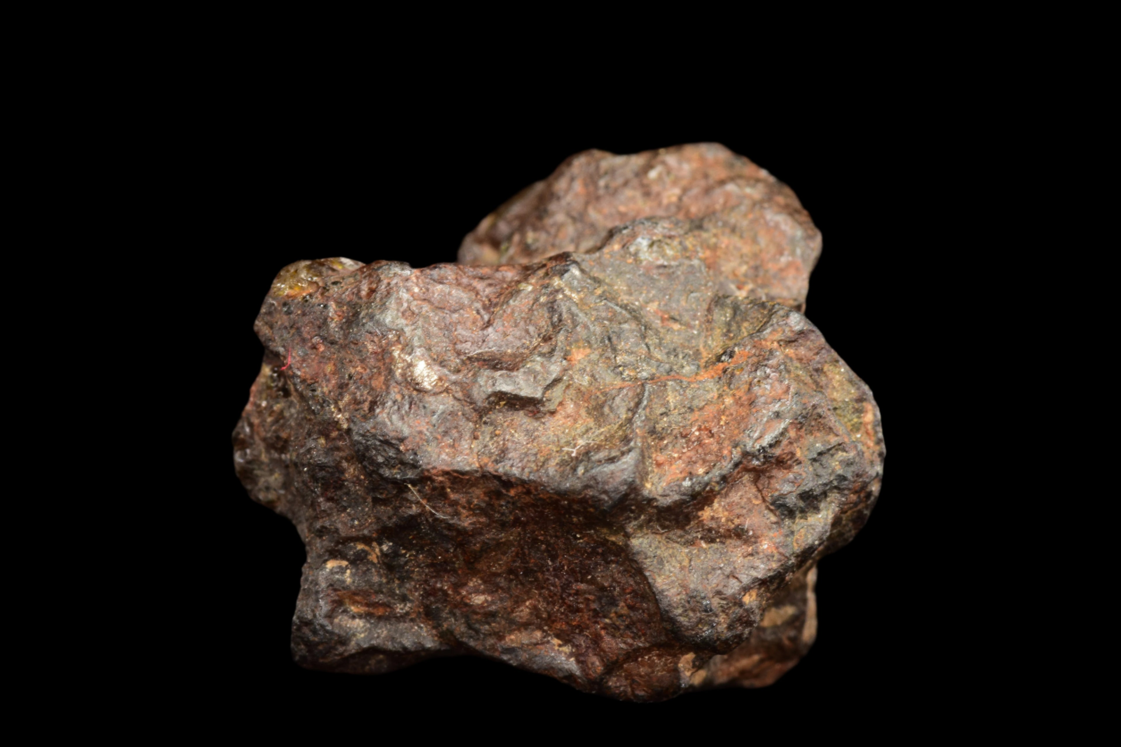 NWA 15971 – Pallasite Meteorite