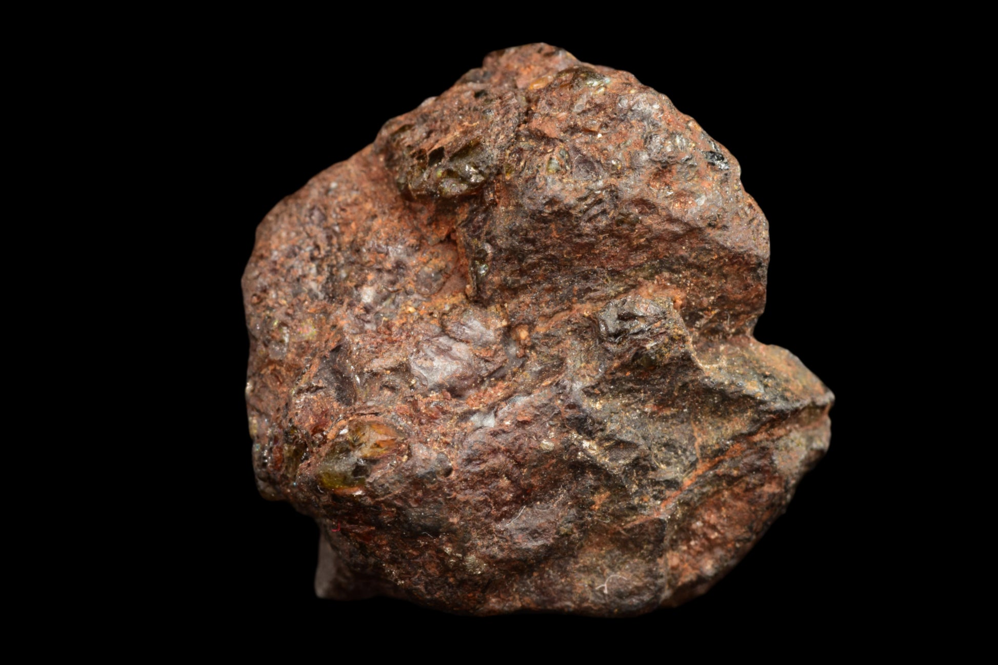 NWA 15971 Pallasite PMG 7.80 G.