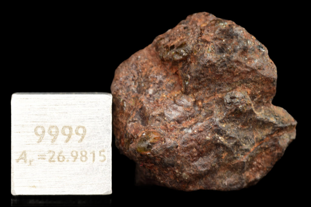 NWA 15971 – Pallasite Meteorite