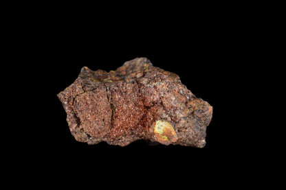 NWA 15971 Pallasite PMG 0.73   G