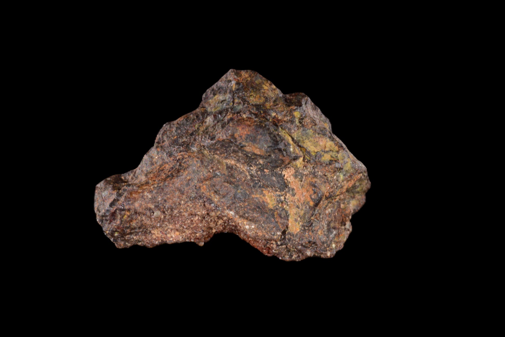 NWA 15971 Pallasite PMG 0.73   G