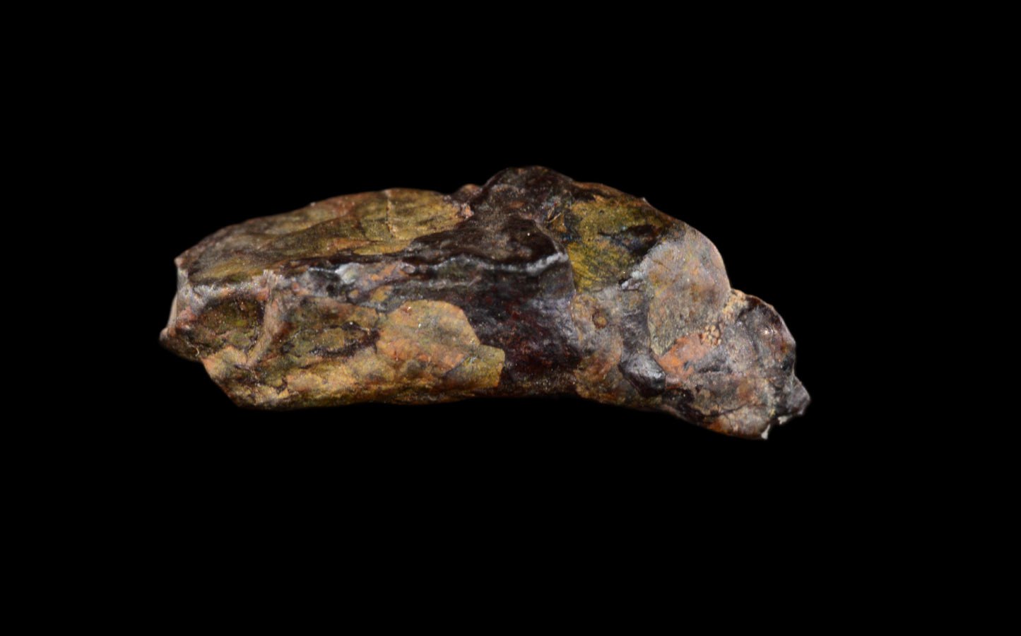 NWA 15971 Pallasite PMG 0.87   G