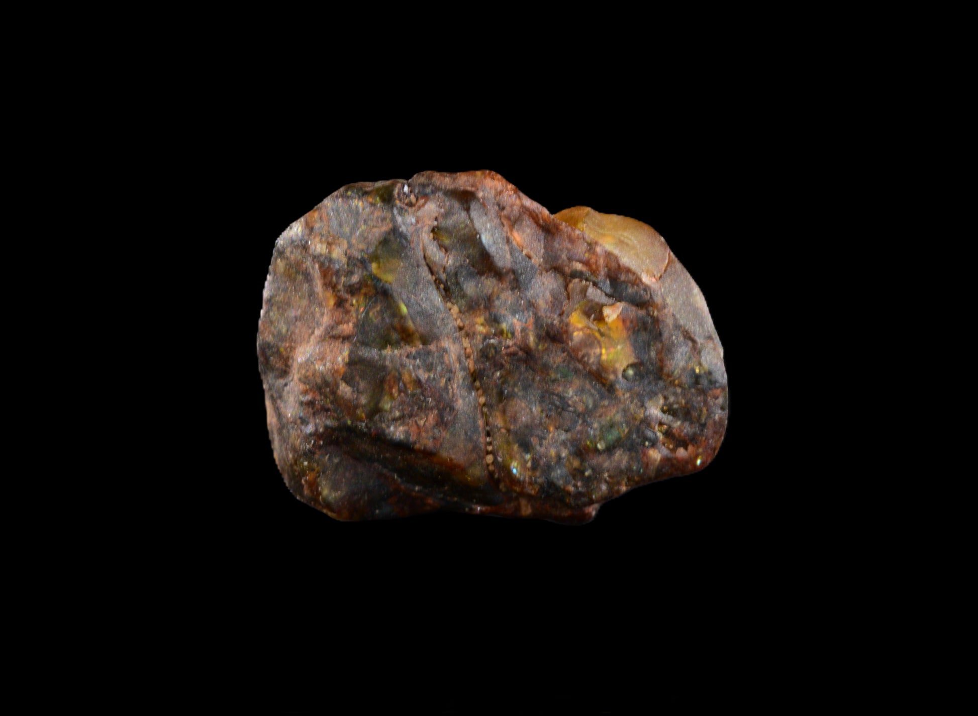 NWA 15971 Pallasite PMG 0.94   G
