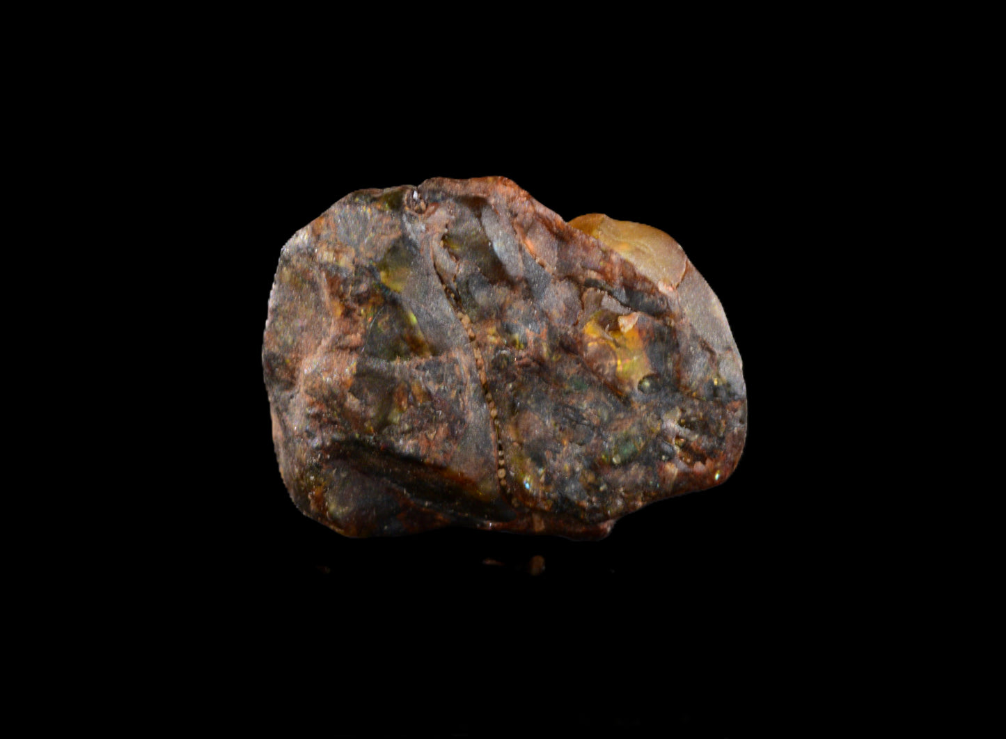 NWA 15971 Pallasite PMG 0.94   G