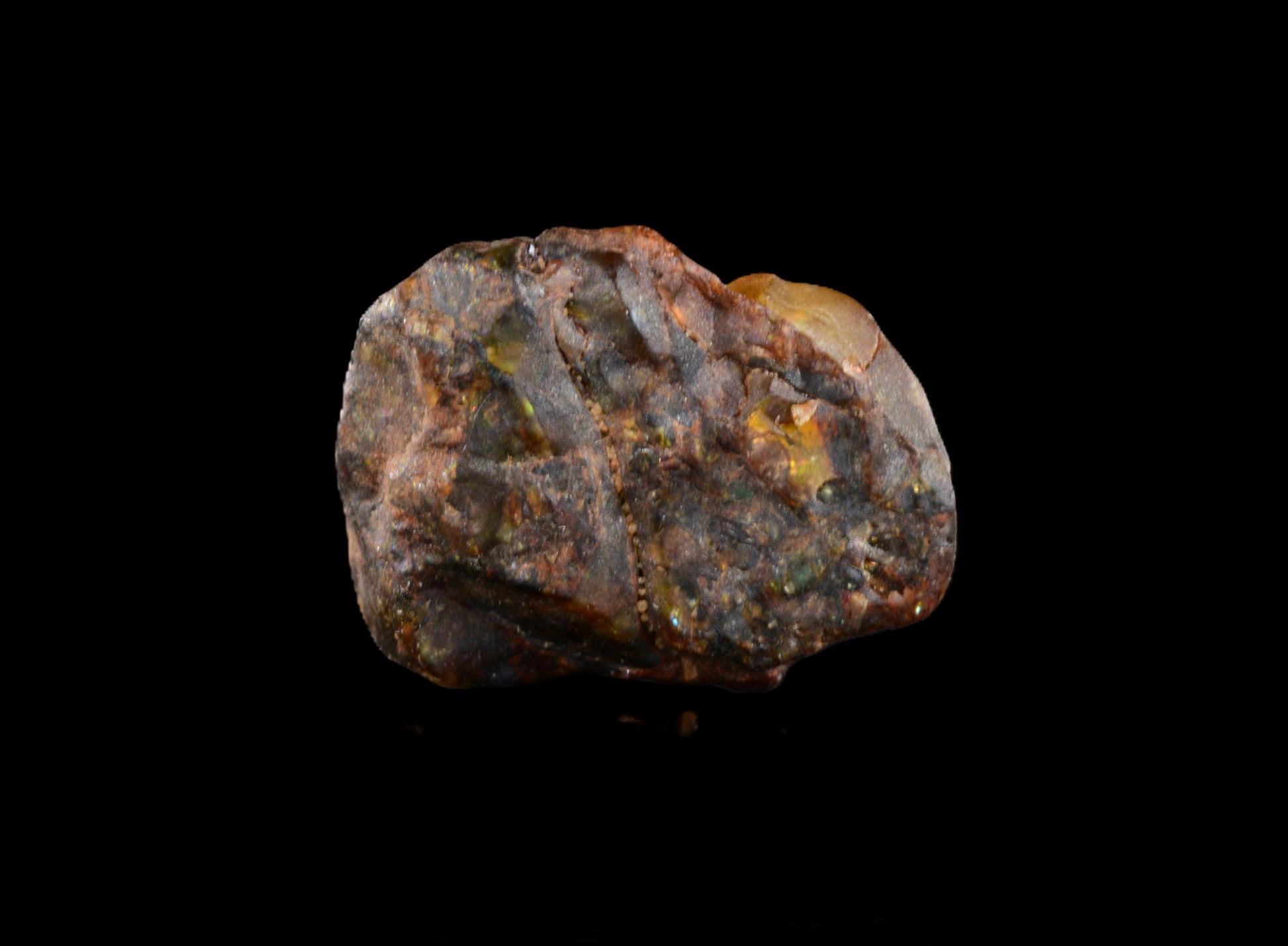 NWA 15971 Pallasite PMG 0.94   G