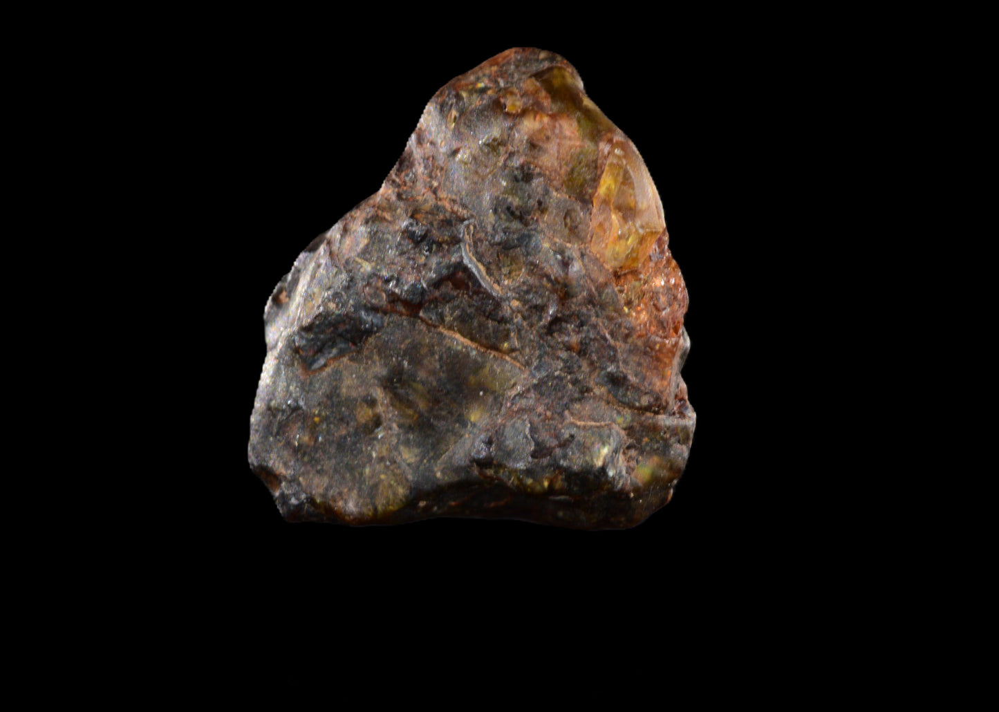NWA 15971 Pallasite PMG 0.94   G