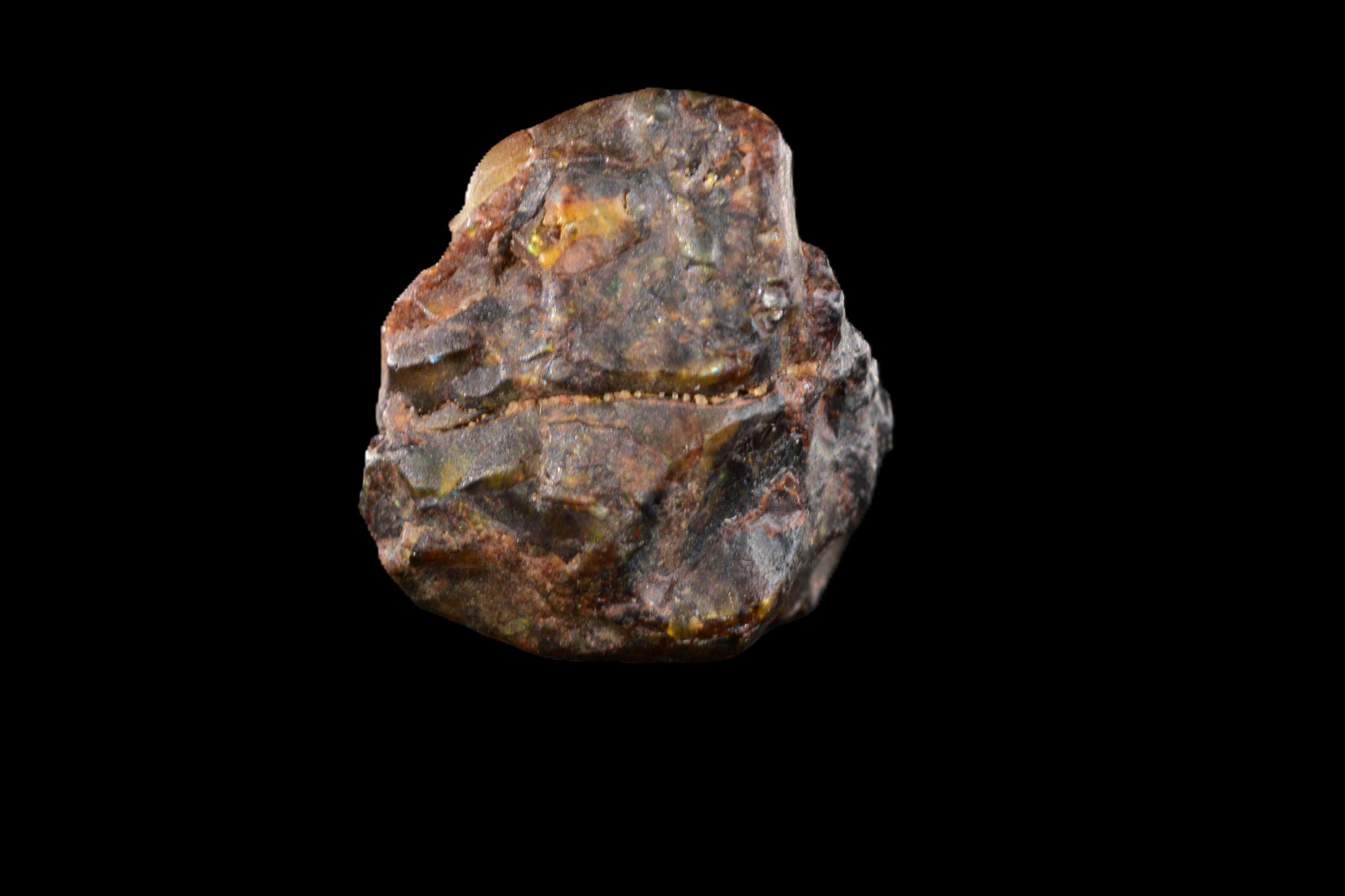 NWA 15971 Pallasite PMG 0.94   G