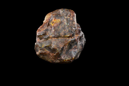 NWA 15971 Pallasite PMG 0.94   G