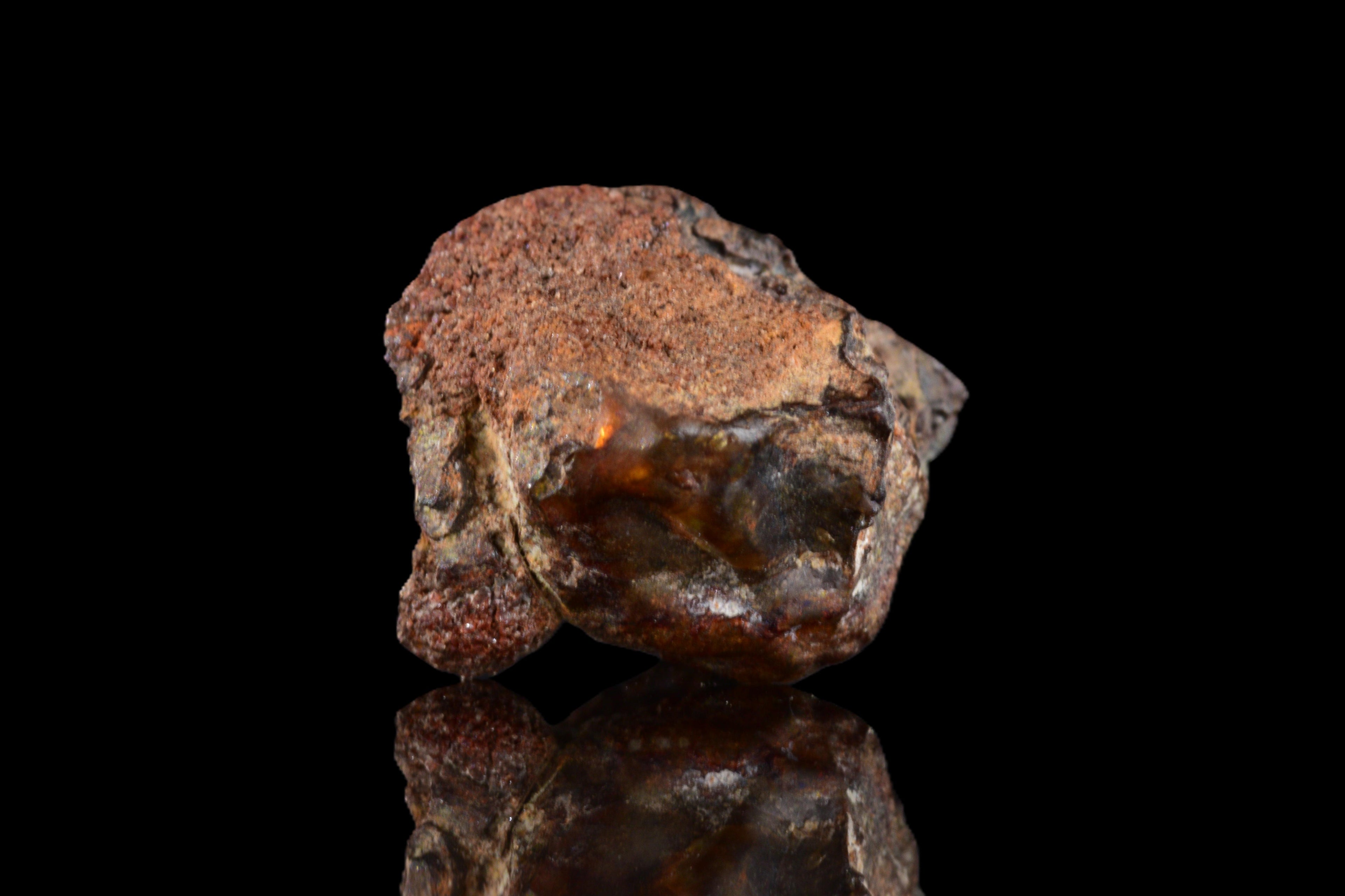 NWA 15971 Pallasite PMG 1.13  G