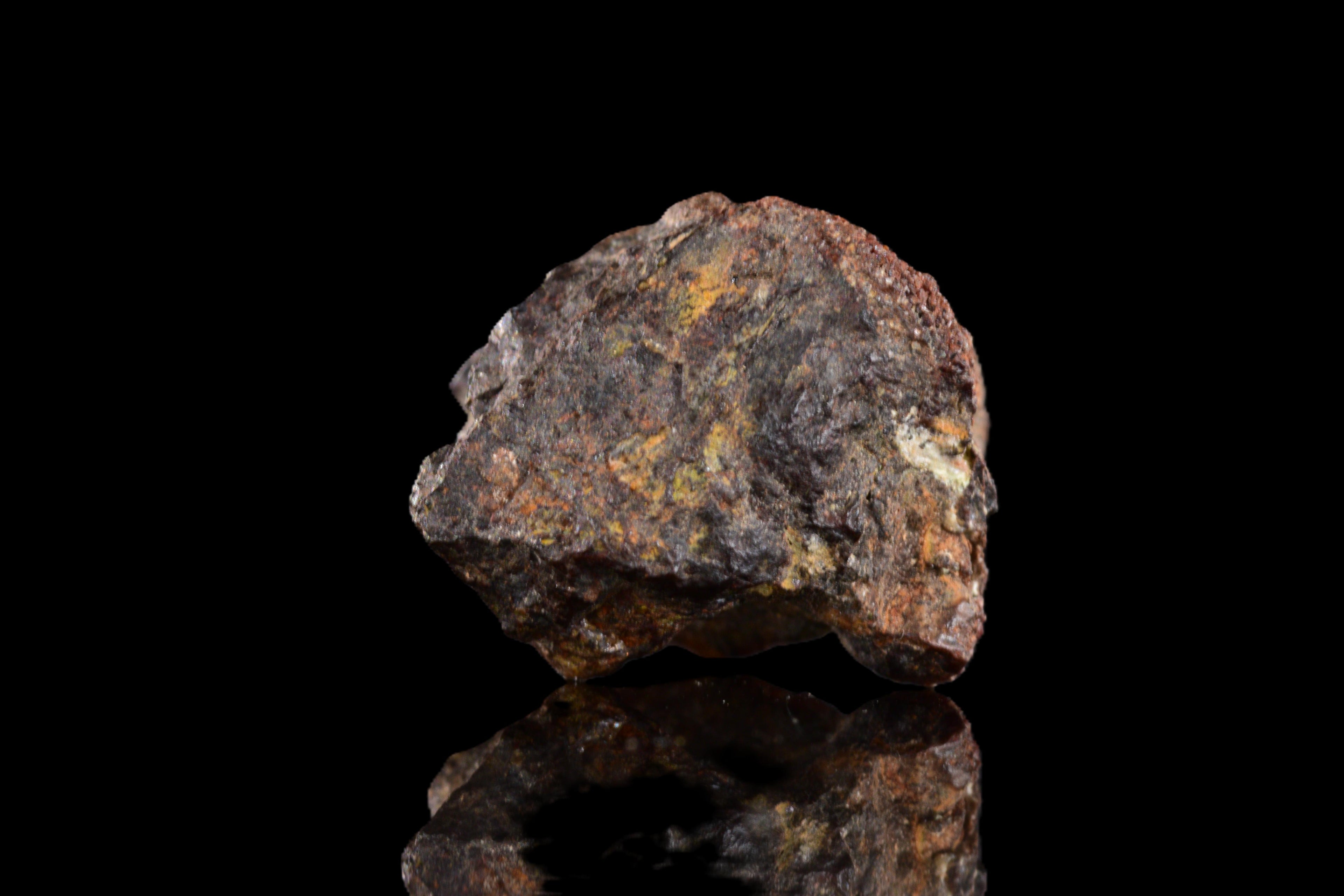 NWA 15971 Pallasite PMG 1.13  G