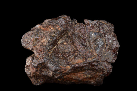 NWA 15971 Pallasite PMG 13.59  G