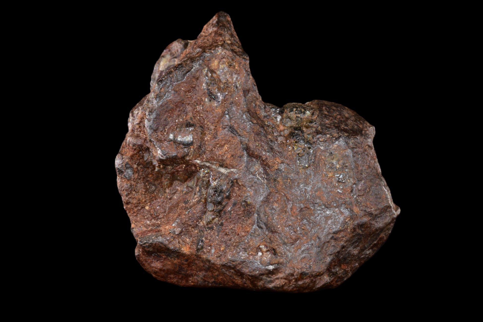 NWA 15971 Pallasite PMG 16.39  G