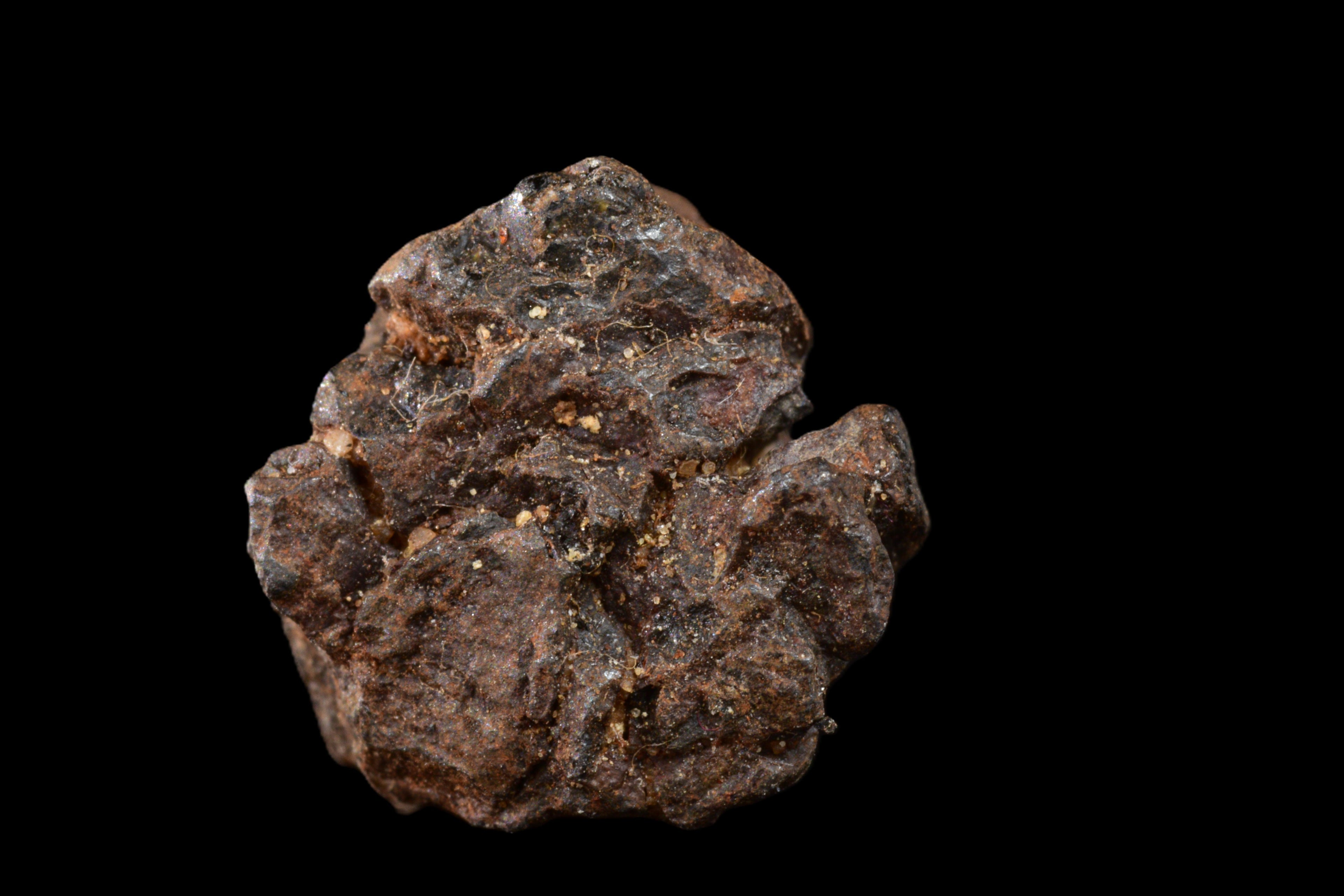 NWA 15971 Pallasite PMG 2.86 G