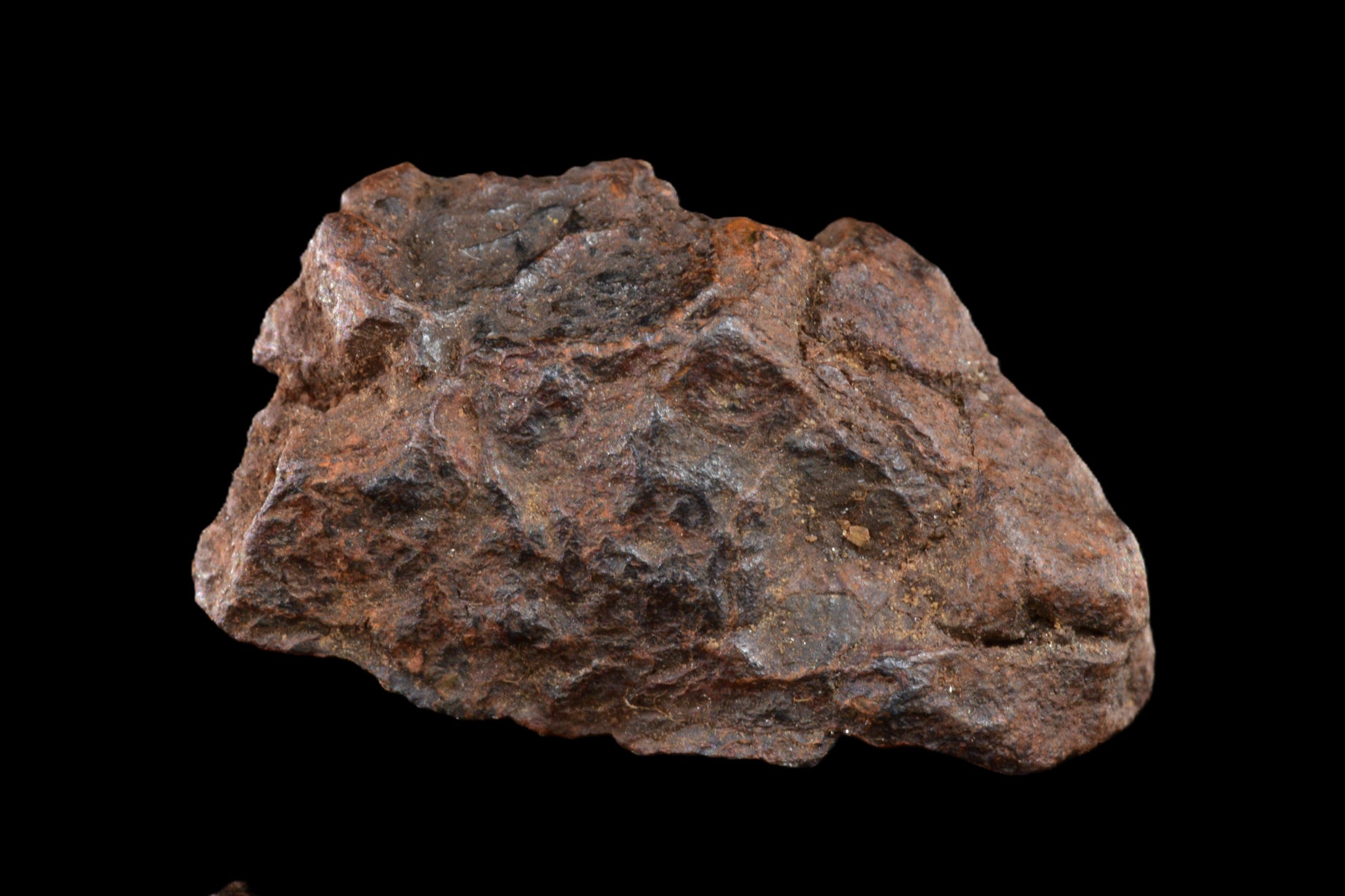 NWA 15971 Pallasite PMG 3.44 G