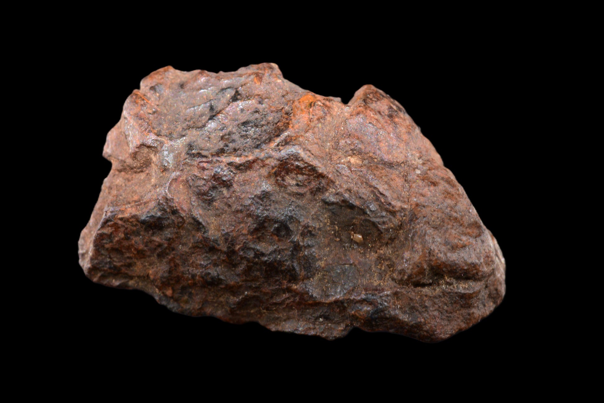 NWA 15971 Pallasite PMG 3.44 G