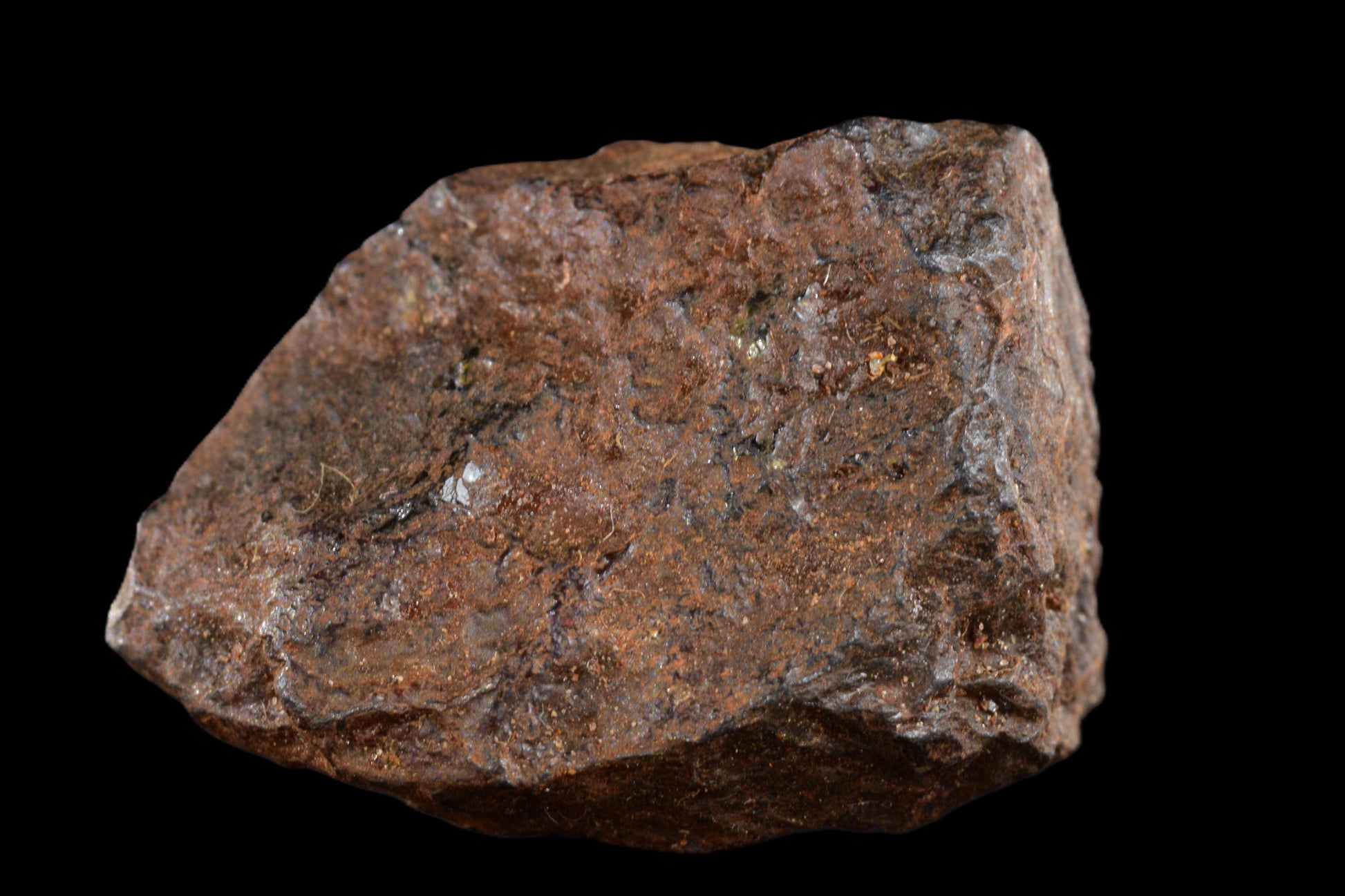 NWA 15971 Pallasite PMG 3.49 G