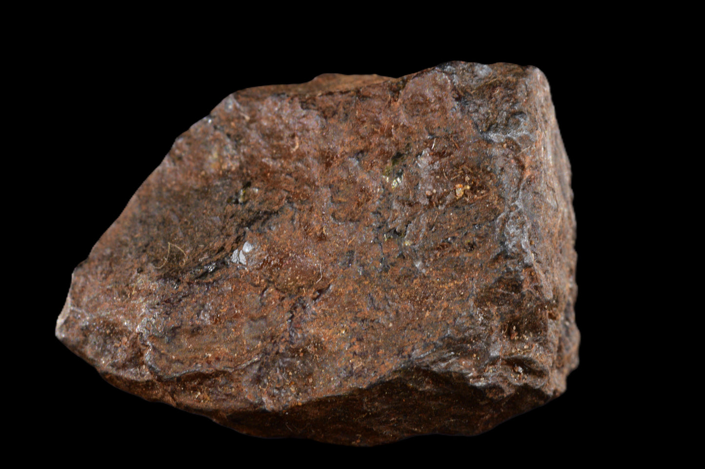 NWA 15971 Pallasite PMG 3.49 G