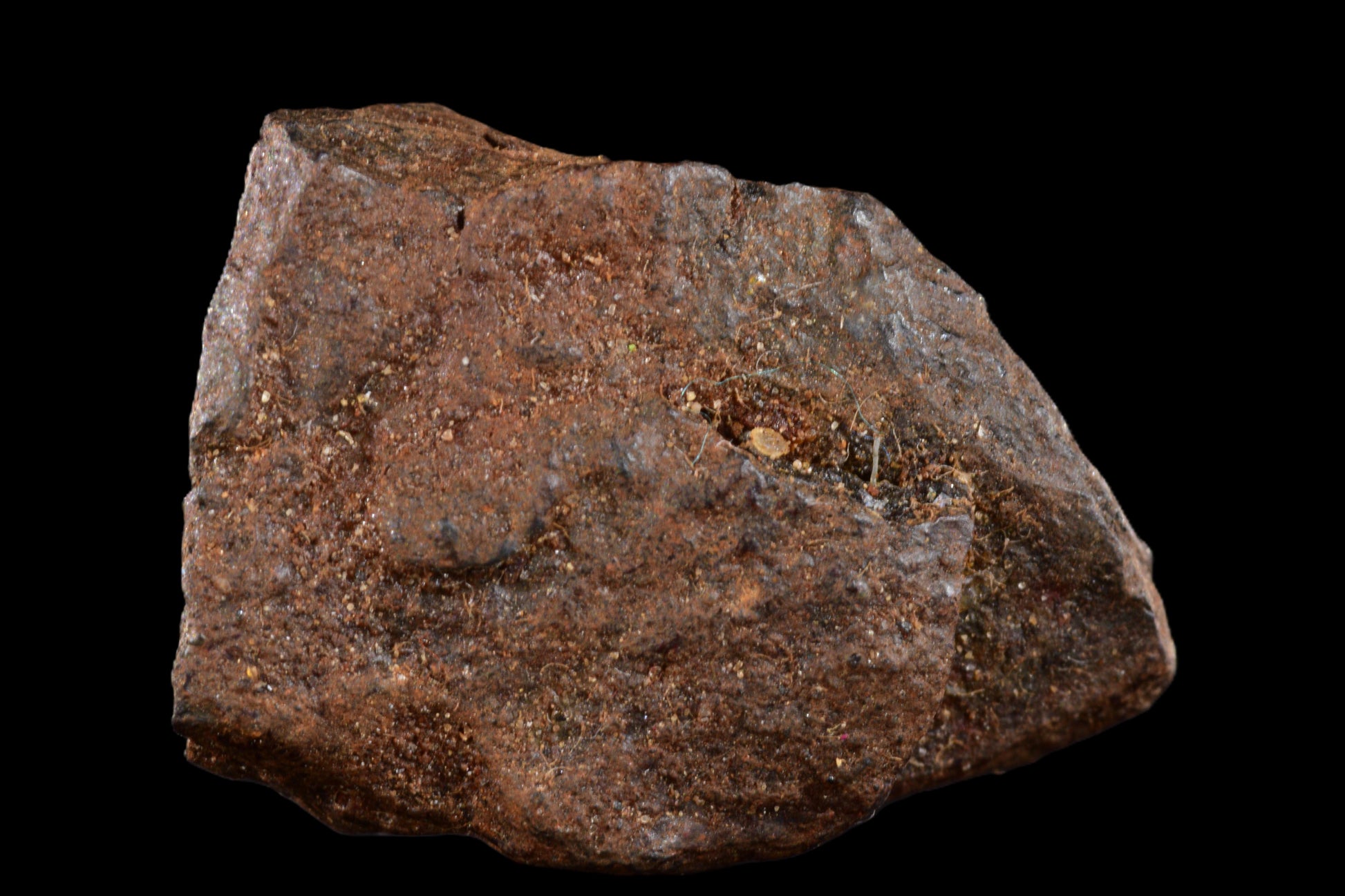 NWA 15971 Pallasite PMG 3.49 G