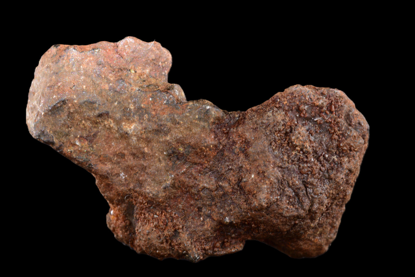 NWA 15971 Pallasite PMG 3.72 G