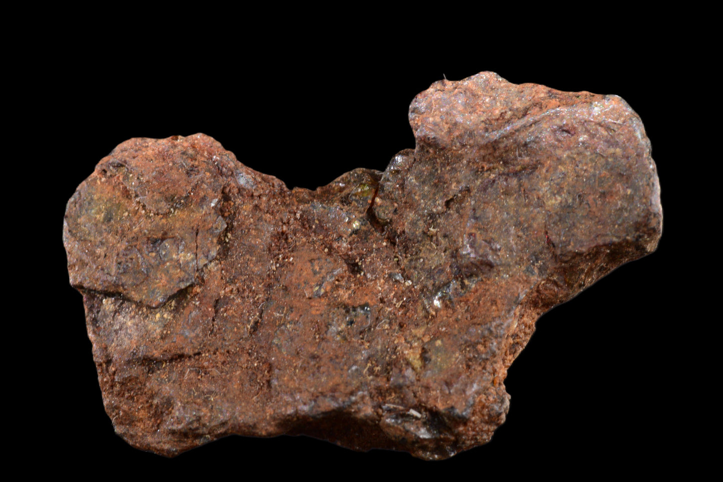 NWA 15971 Pallasite PMG 3.72 G