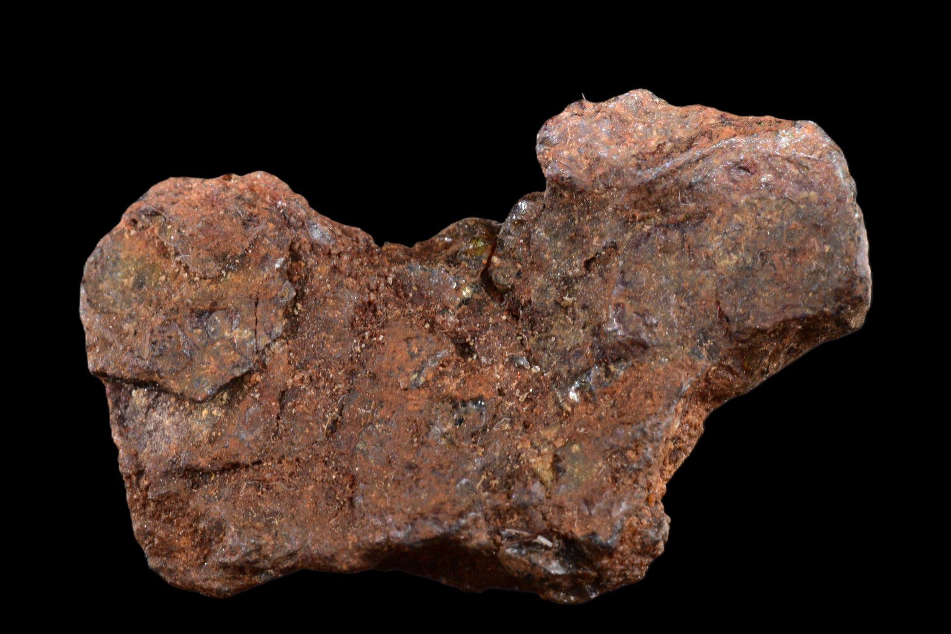 NWA 15971 Pallasite PMG 3.72 G