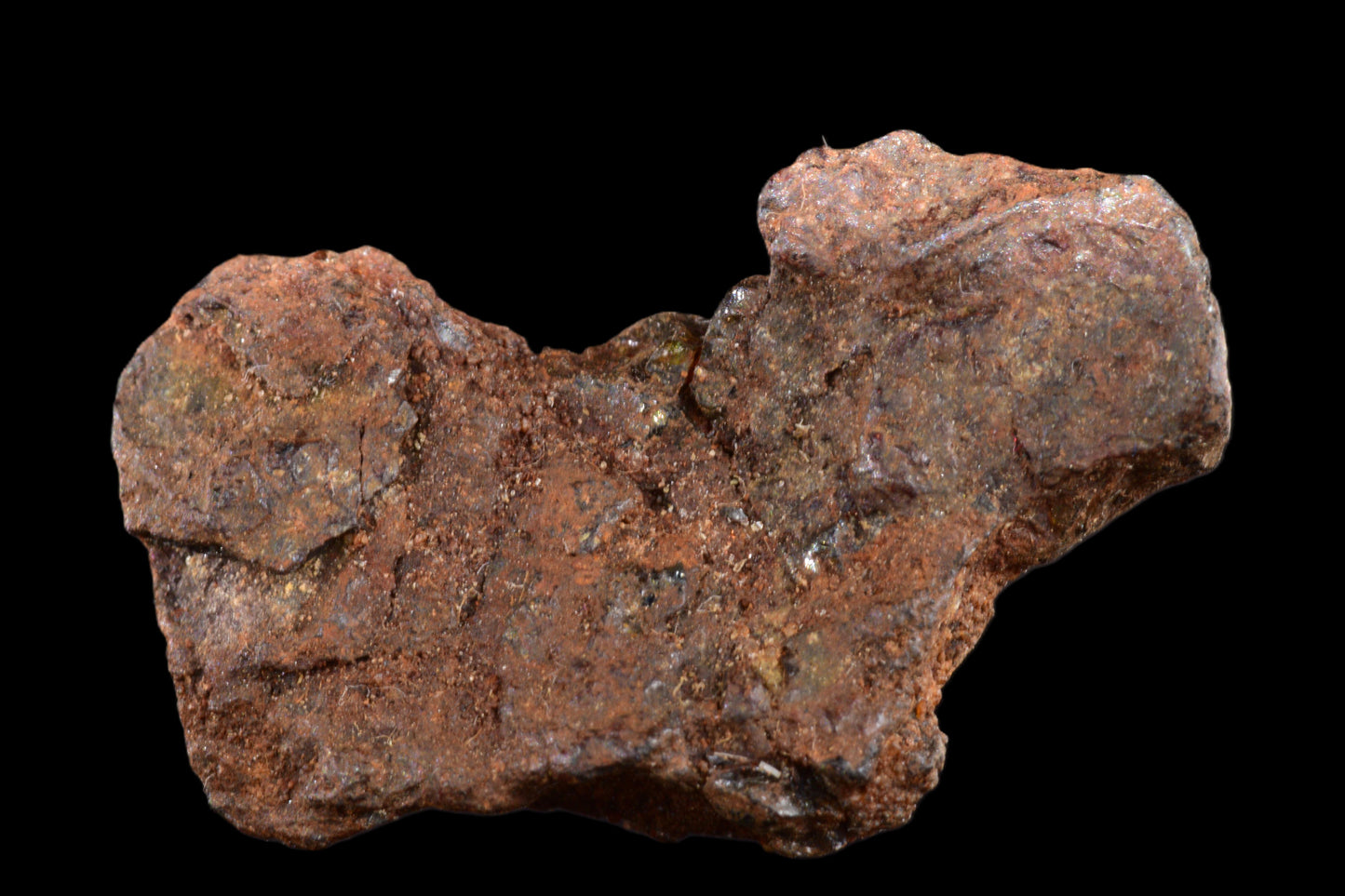 NWA 15971 Pallasite PMG 3.72 G