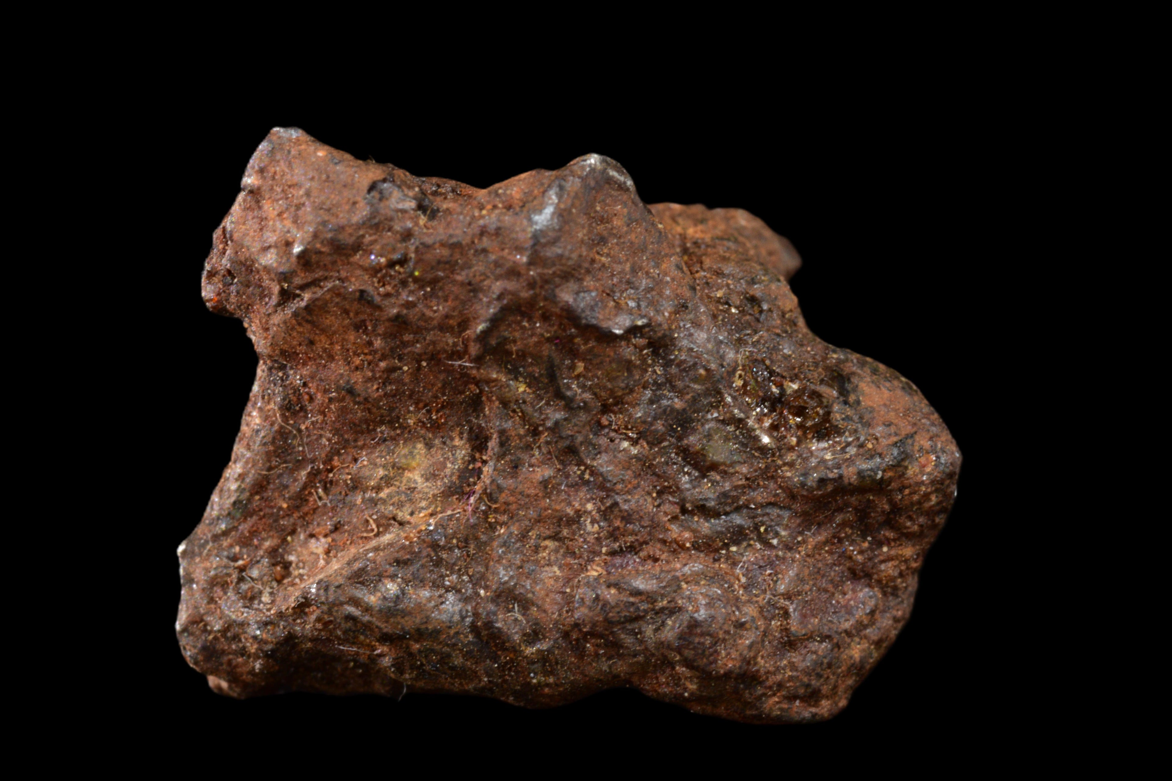 NWA 15971 Pallasite PMG 4.25 G