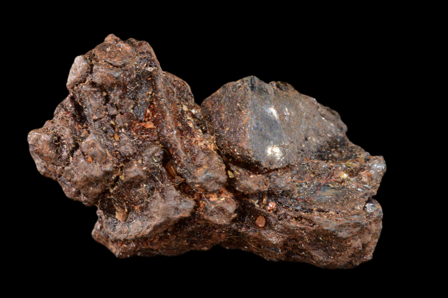 NWA 15971 Pallasite PMG 4.57 G