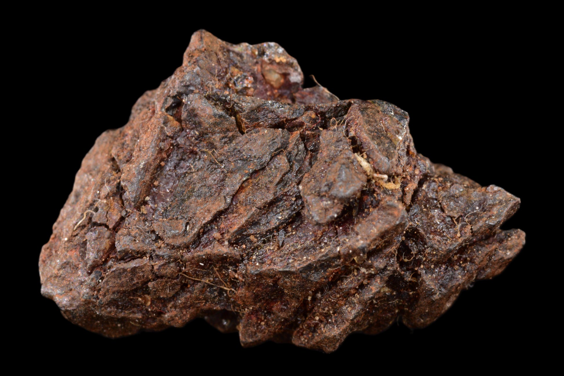 NWA 15971 Pallasite PMG 4.57 G