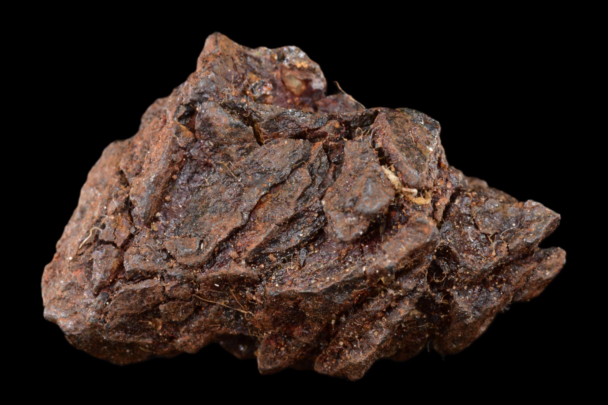 NWA 15971 Pallasite PMG 4.57 G