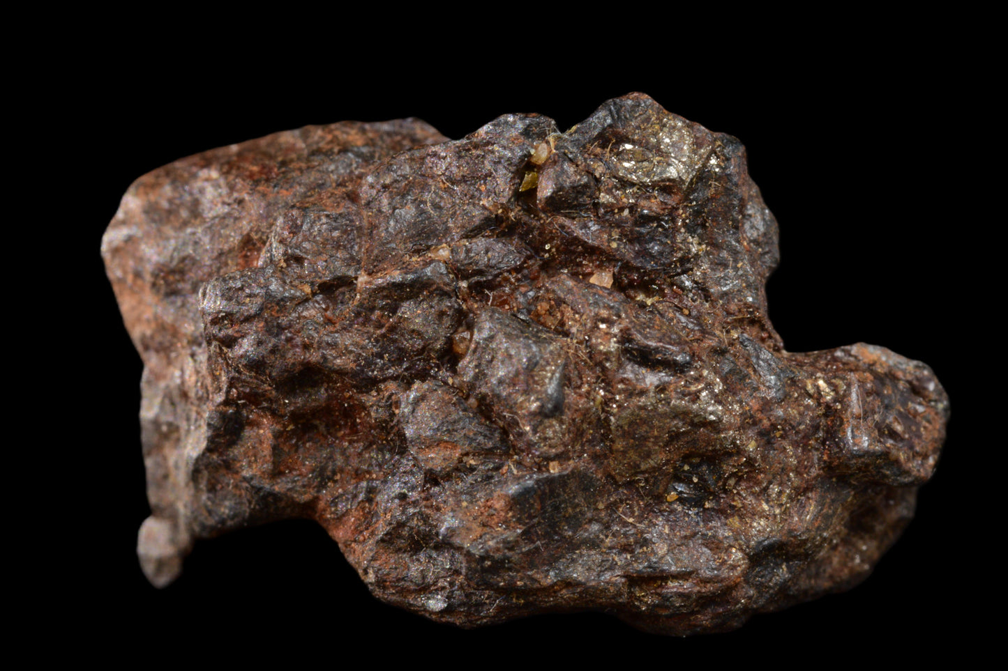 NWA 15971 Pallasite PMG 4.63 G