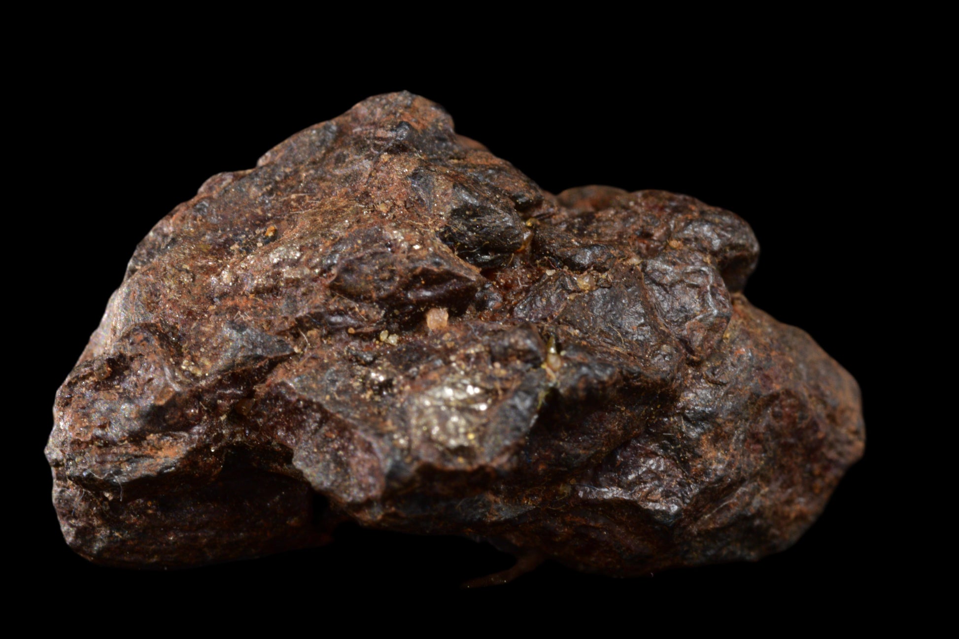 NWA 15971 Pallasite PMG 4.63 G