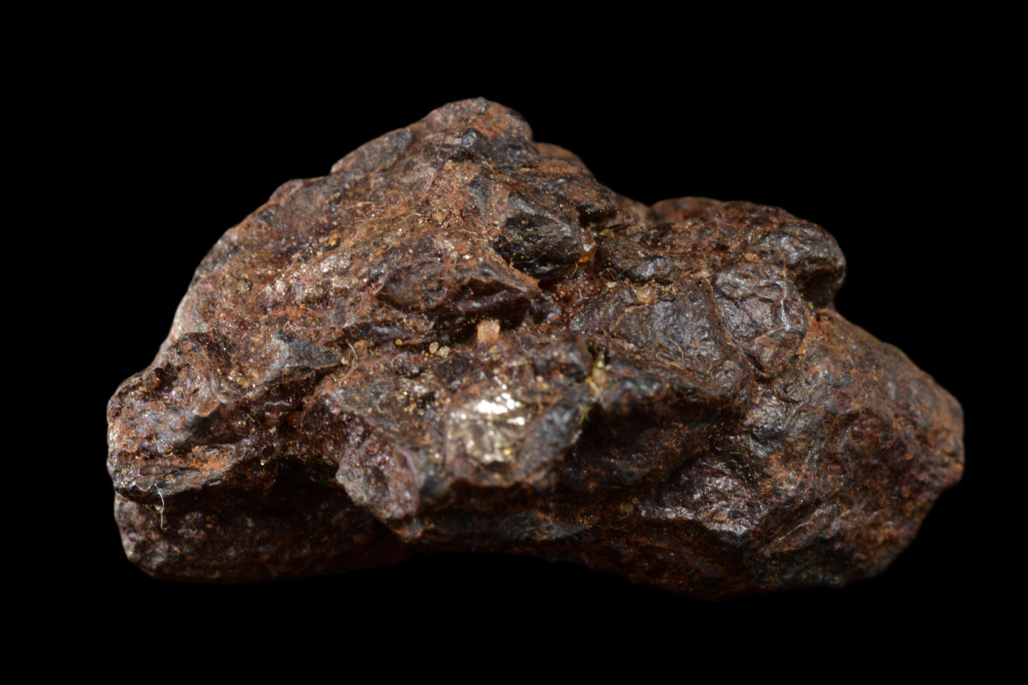 NWA 15971 Pallasite PMG 4.63 G