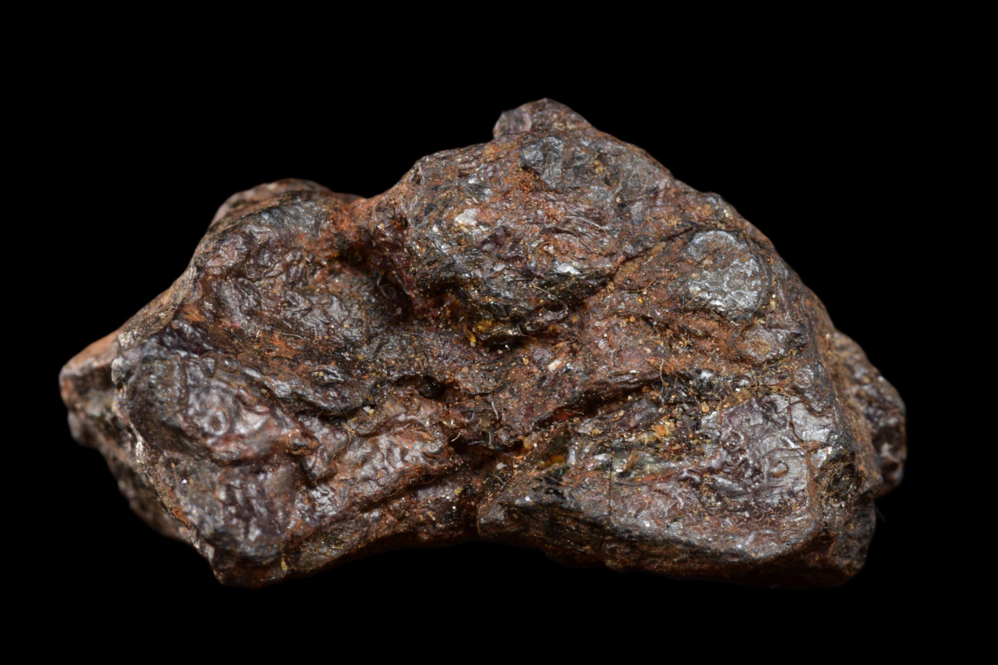 NWA 15971 Pallasite PMG 4.63 G