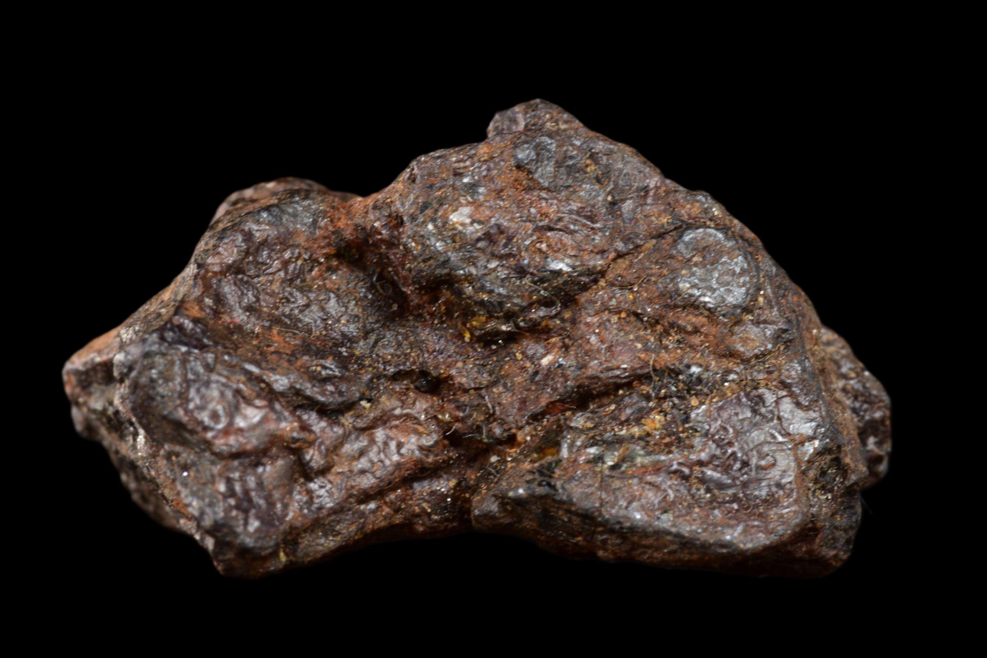 NWA 15971 Pallasite PMG 4.63 G