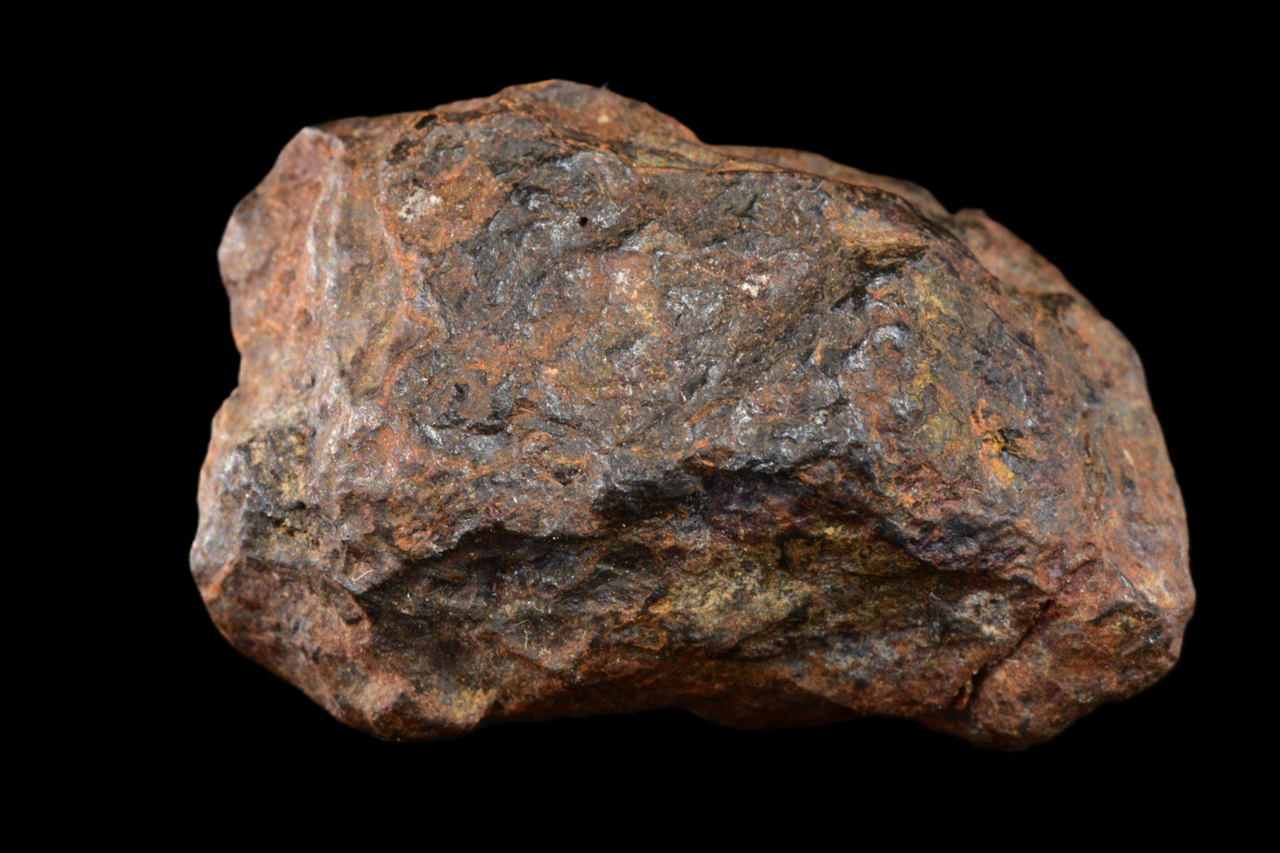 NWA 15971 Pallasite PMG 6.03  G