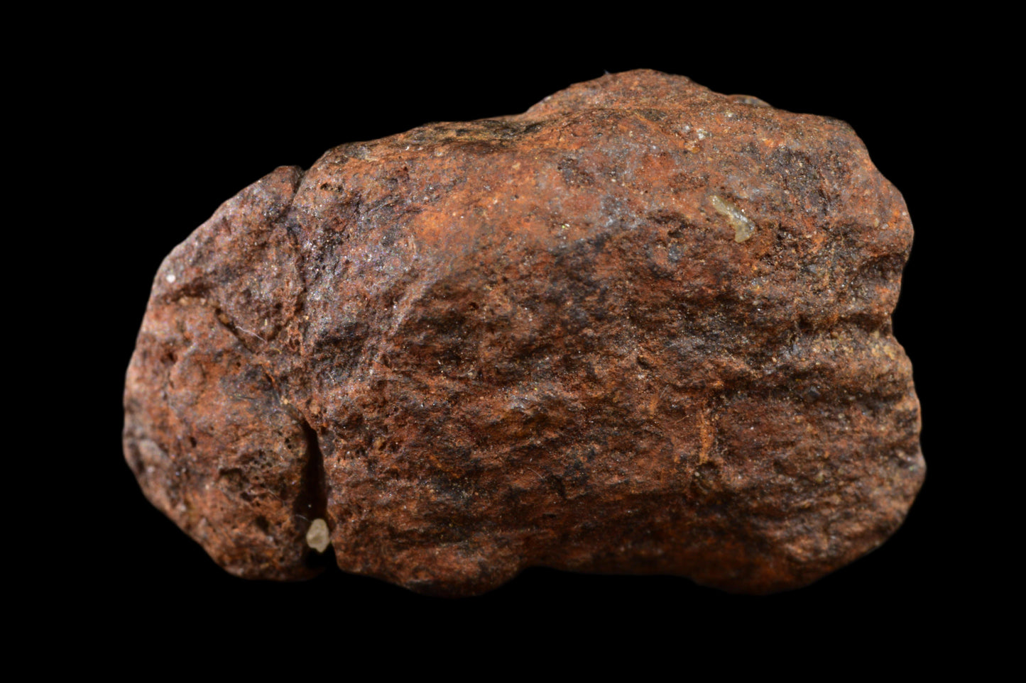 NWA 15971 Pallasite PMG 6.03  G