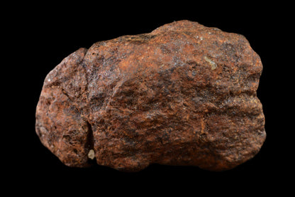 NWA 15971 Pallasite PMG 6.03  G