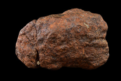 NWA 15971 Pallasite PMG 6.03  G