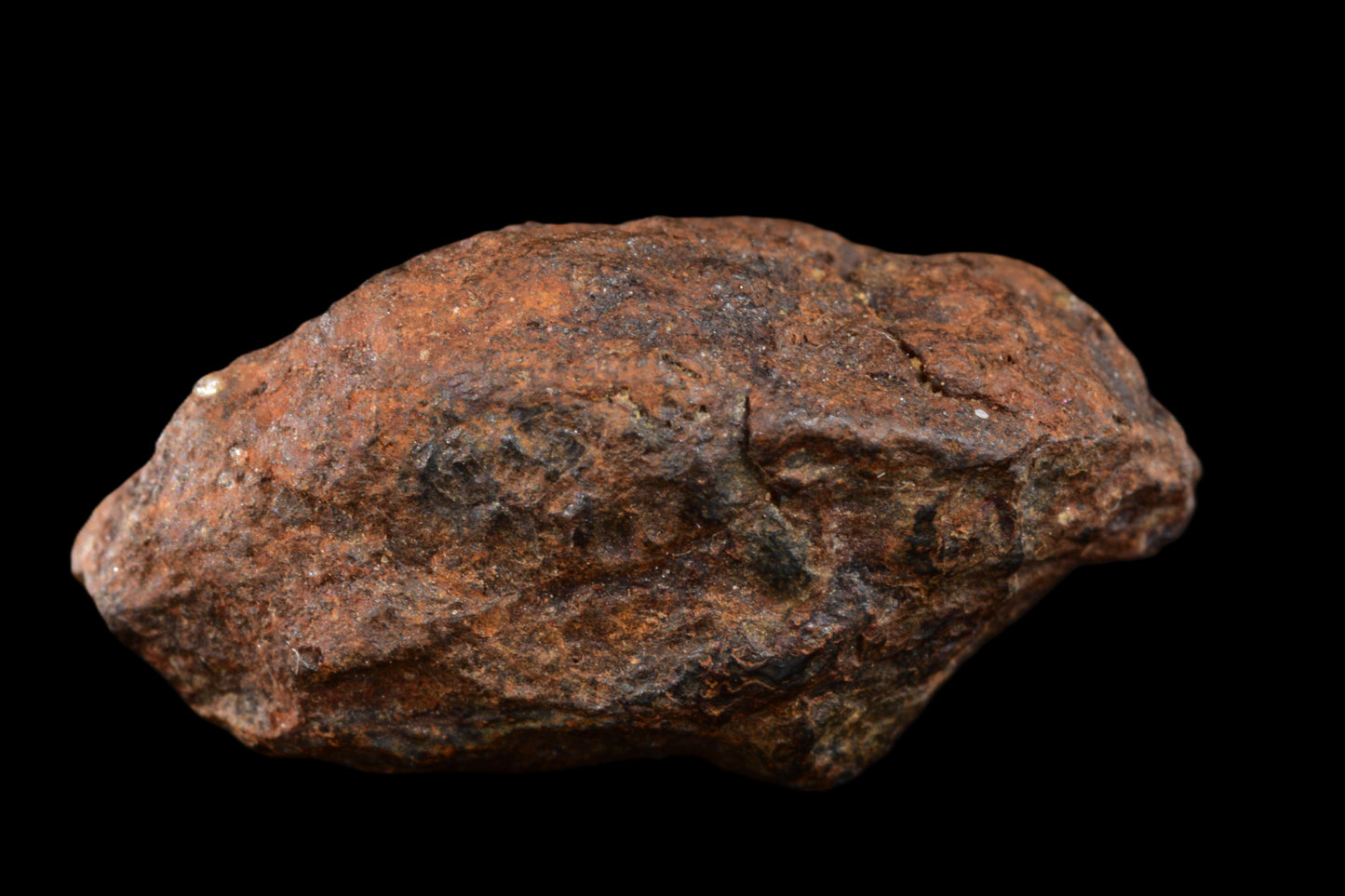 NWA 15971 Pallasite PMG 6.03  G