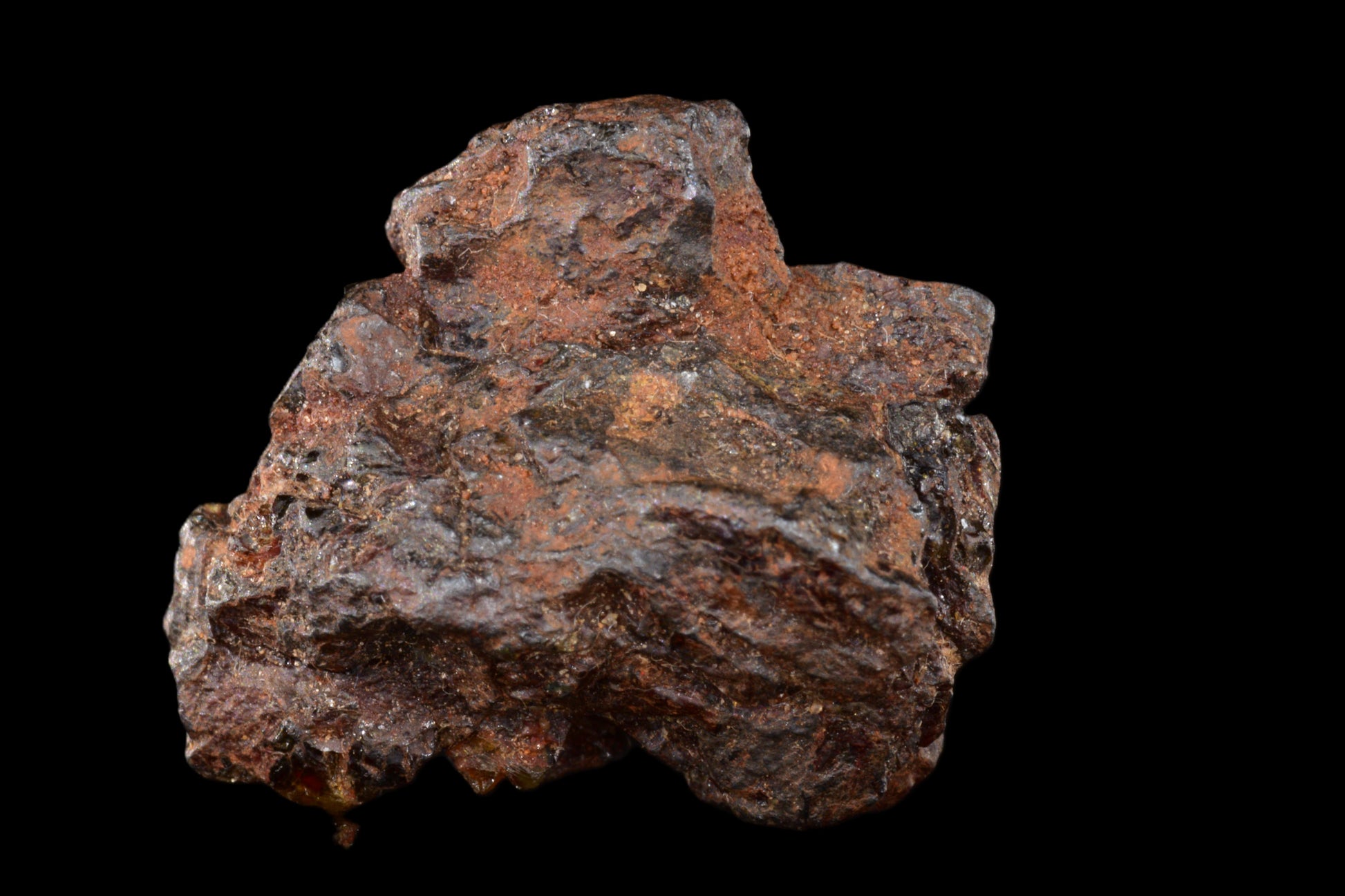 NWA 15971 Pallasite PMG 7.75  G