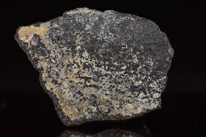 NWA 17489 (CO3.0) Carbonaceous Chondrite Meteorite