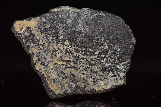 NWA 17489 (CO3.0) Carbonaceous Chondrite Meteorite