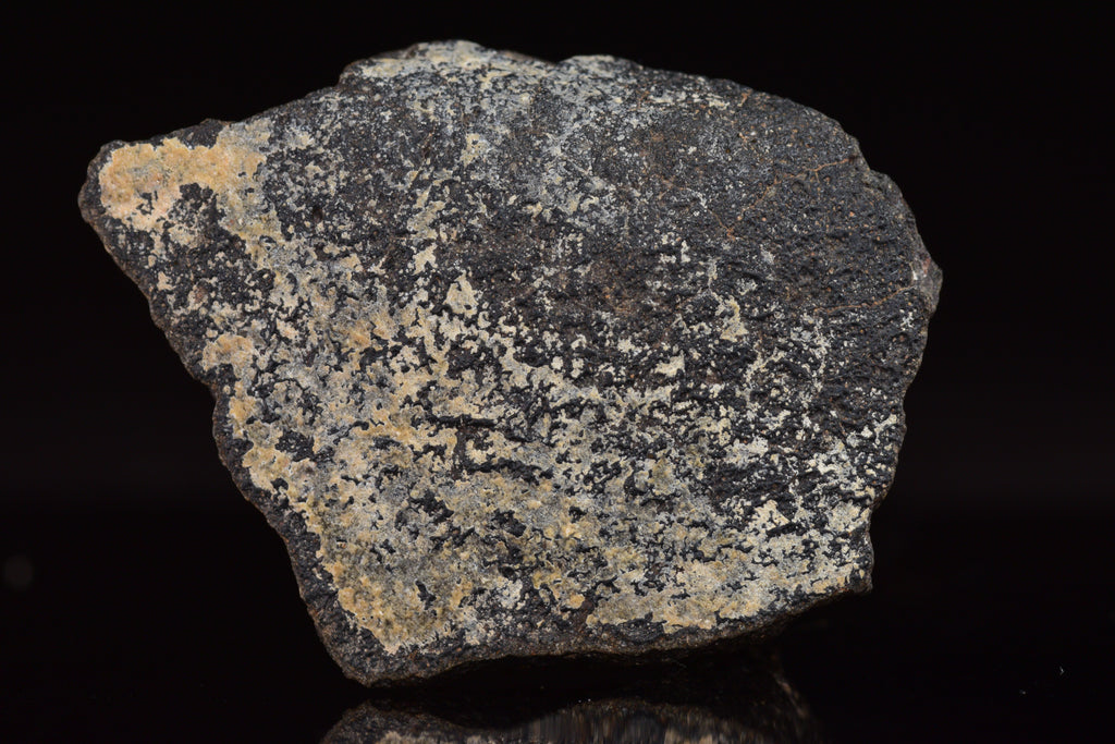 NWA 17489 (CO3.0) Carbonaceous Chondrite Meteorite