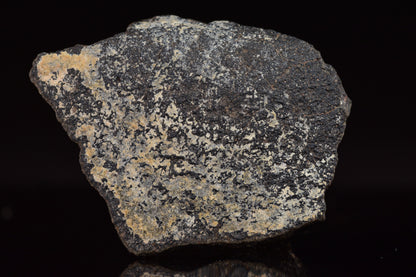 NWA 17489 (CO3.0) Carbonaceous Chondrite Meteorite